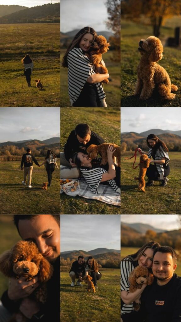 Current image: Bond Between Dogs and Humans