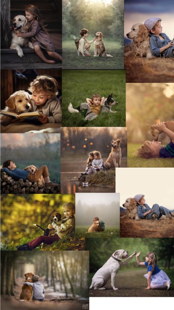 Current image: Introduce a New Dog