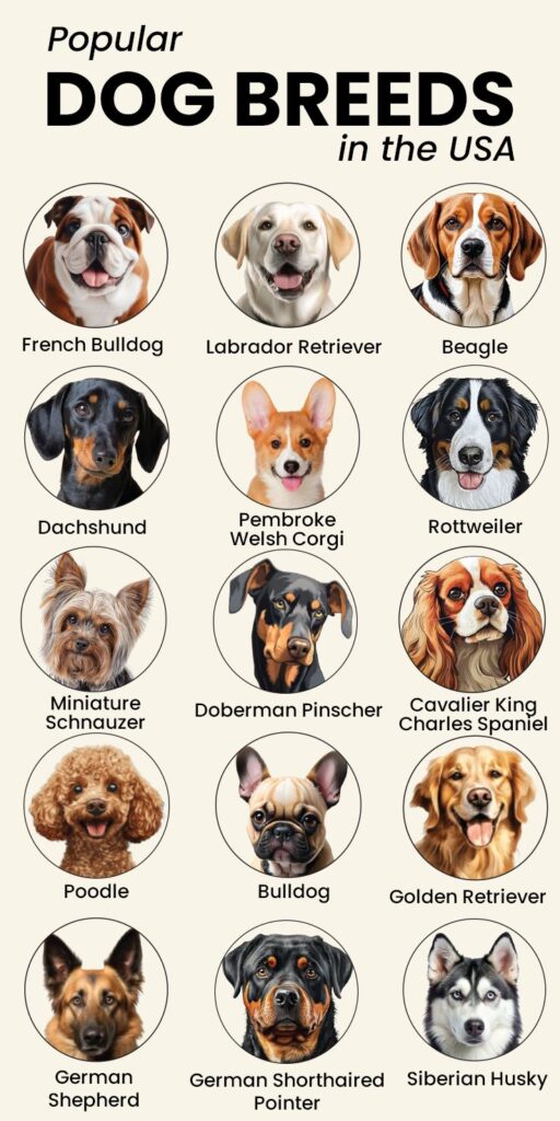 Current image: Dog Breeds