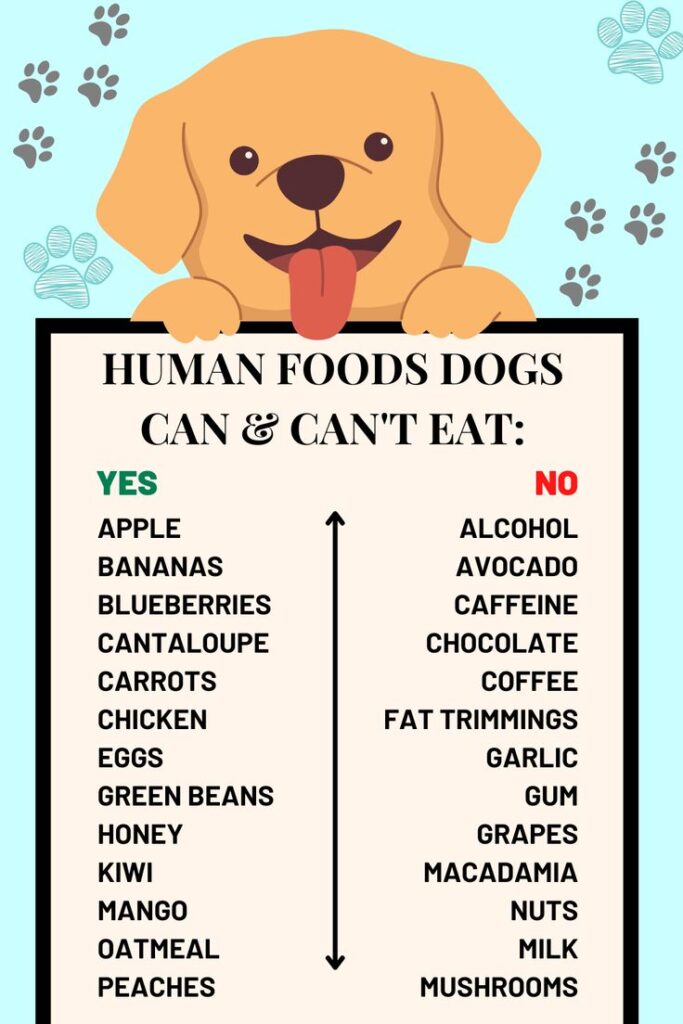 Current image: Canine Nutrition
