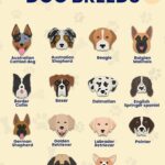 Dog Breeds