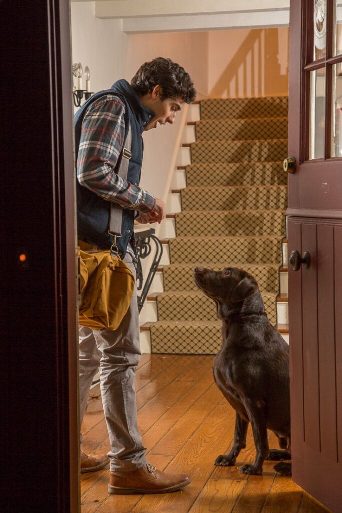 Current image: Introduce a New Dog