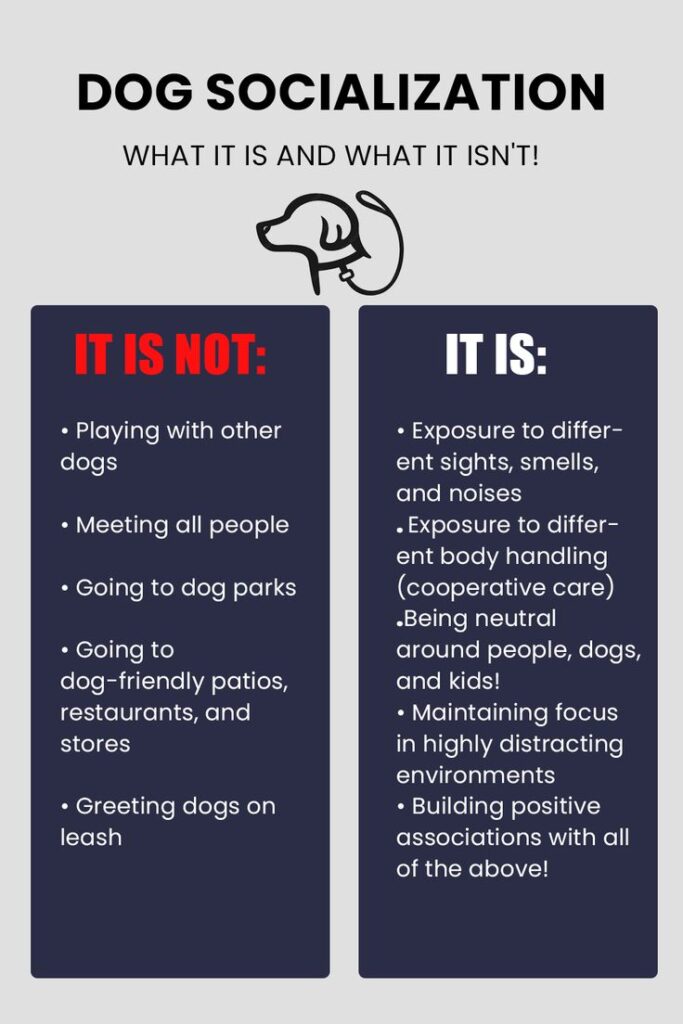 Tips for Puppies and Adult Dogs