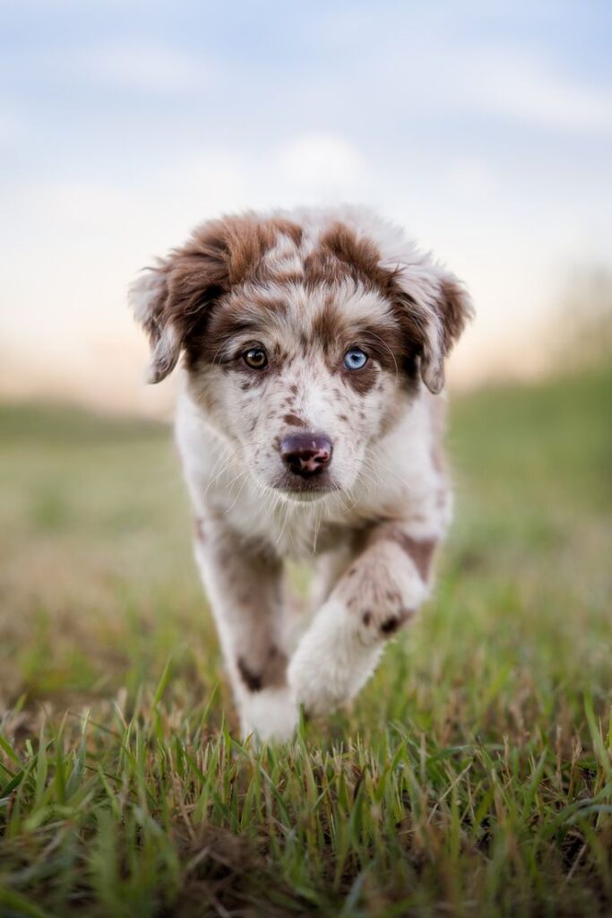 The current image has no alternative text. The file name is: d5254d15-8289-4850-8ec4-54b153131a4f.jpg