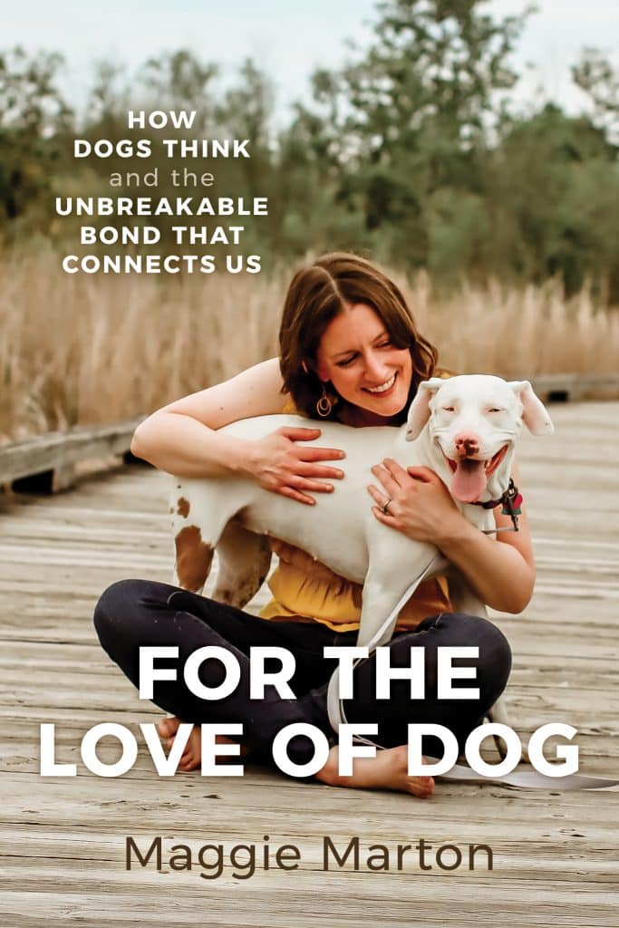 3 Small (No Cost!) Favors to Support FOR THE LOVE OF DOG