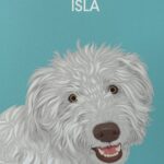 Lord of the Pets Portraits