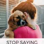Please stop calling them “kill” shelters
