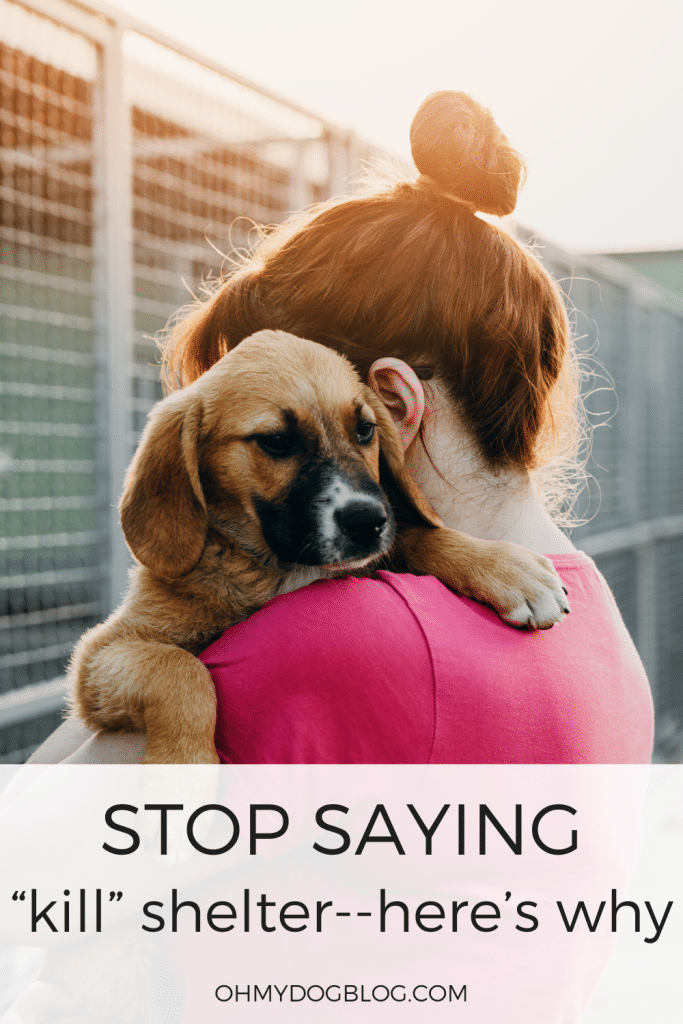 Please stop calling them “kill” shelters