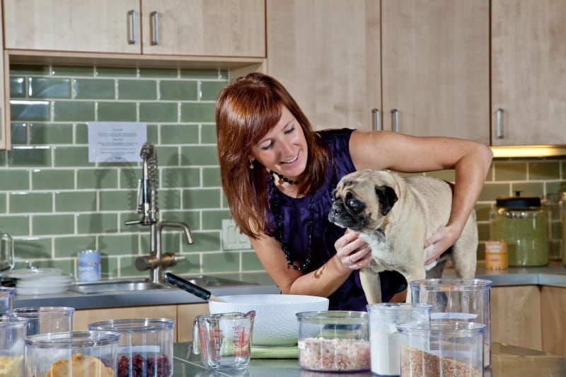 3 Easy Egg Recipes for Dogs 🍳