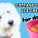 Cottage Cheese Ice Cream for Dogs Recipe