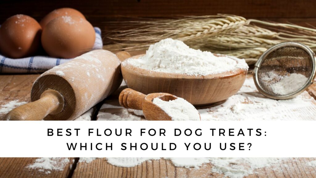 What’s the Best Flour for Dog Treats?