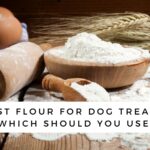 What’s the Best Flour for Dog Treats?