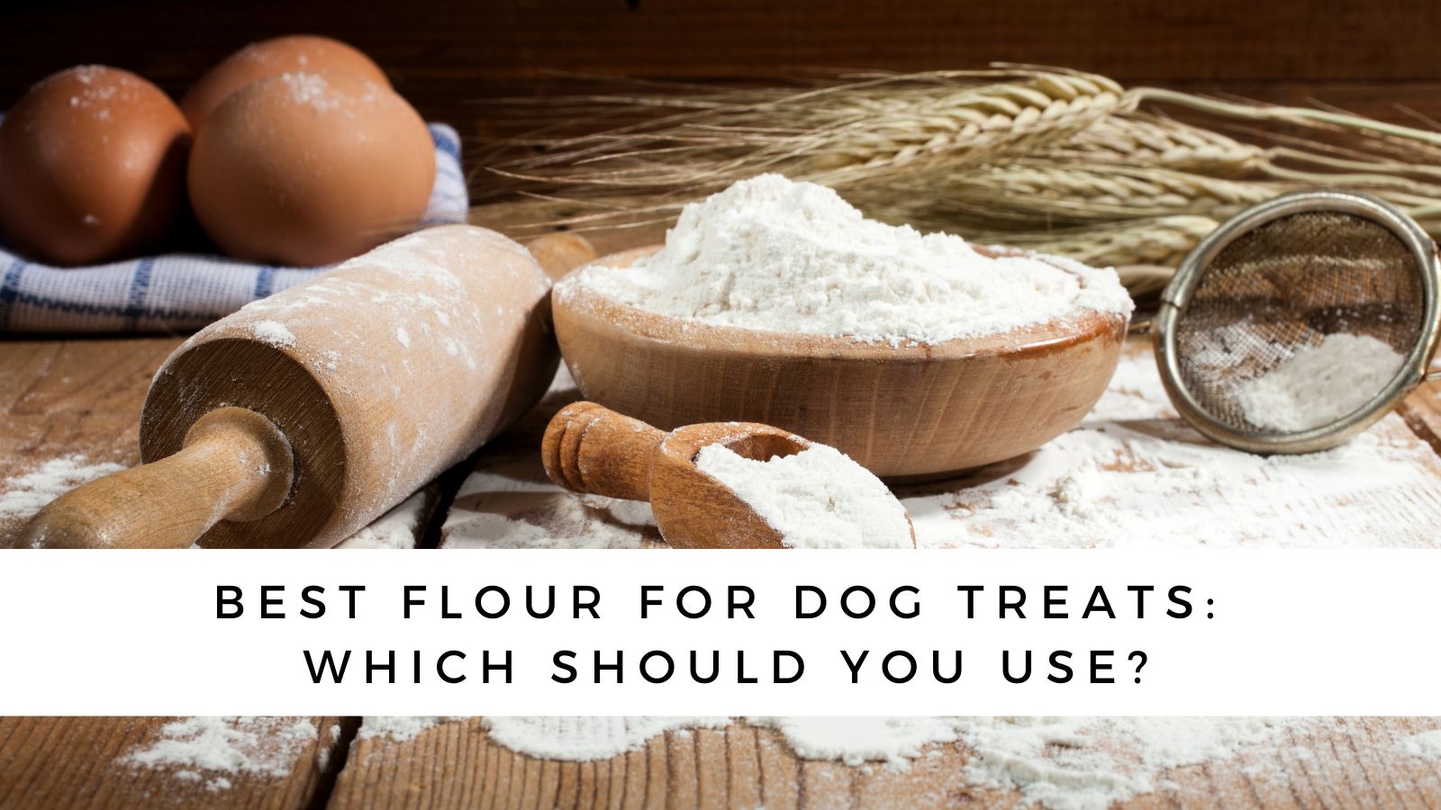 What’s the Best Flour for Dog Treats?